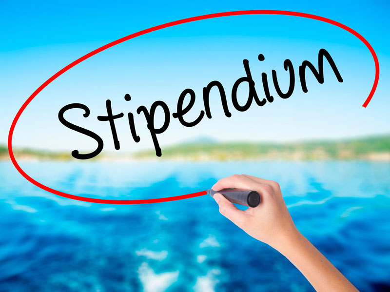 20 aktiva tävlingsåkare har tilldelats SVWF Idrottsstipendium 2023!